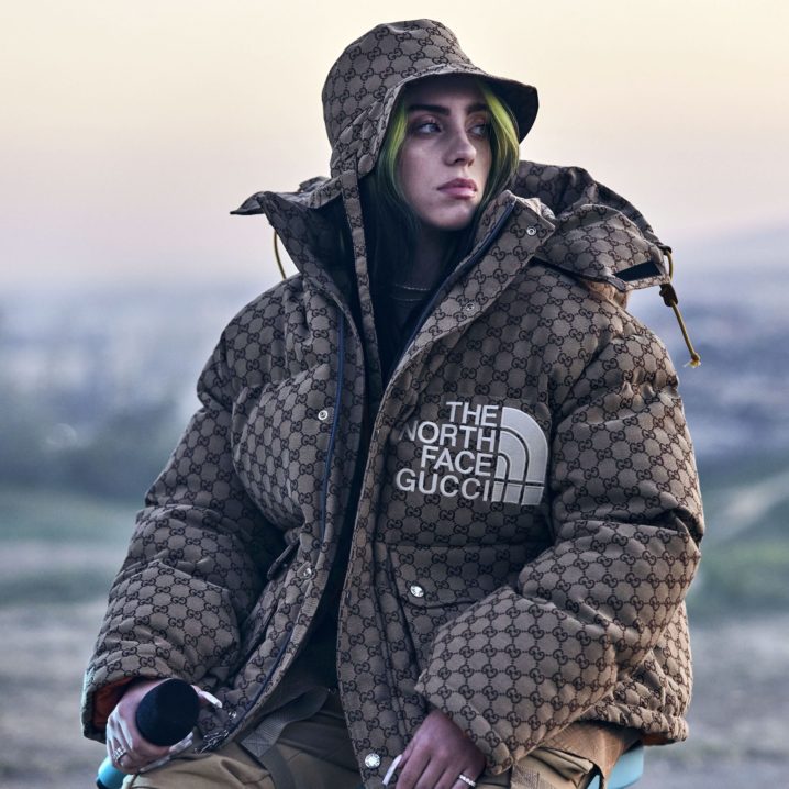 Billie Eilish Exuded Flyness at Her Film Premiere in the North Face x
