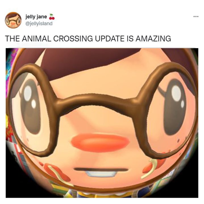 A screenshot of the fish eye lens in the Animal Crossing update