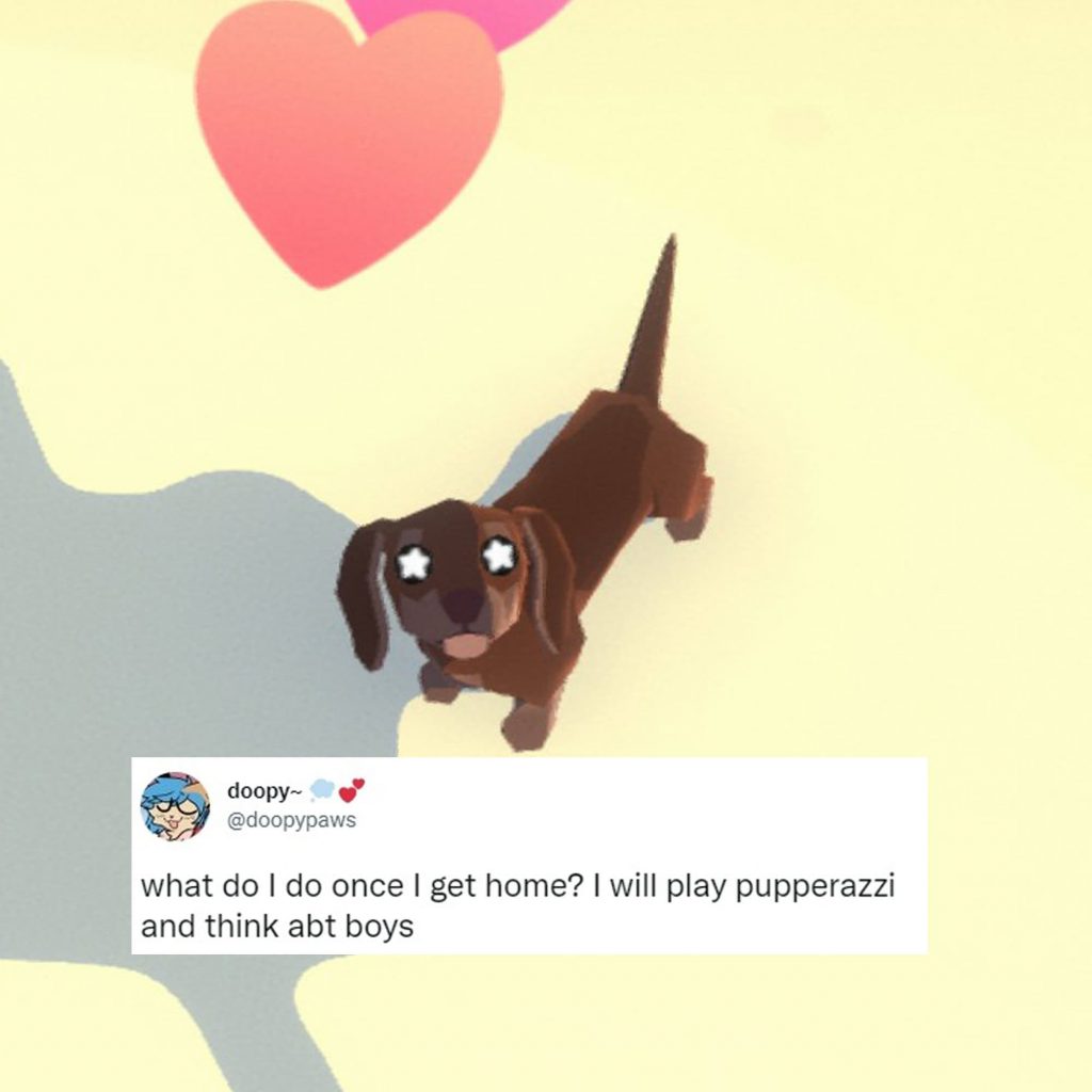 A screenshot of a dog from the game Pupperazzi and a Tweet by @doopypaws that reads "what do I do once I get home? I will play pupperazzi and think abt boys".