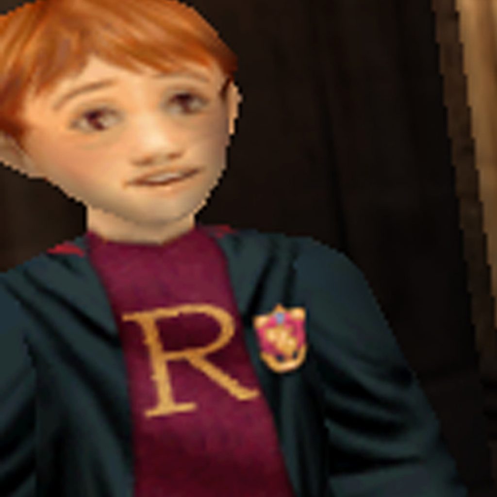 Ron in the Harry Potter PC game.