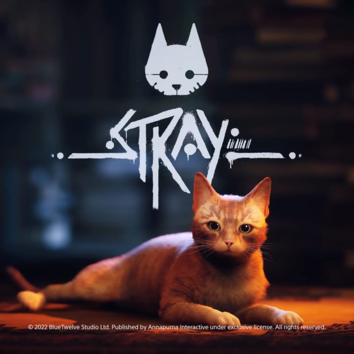 The cat from Stray sitting underneath the game's logo.