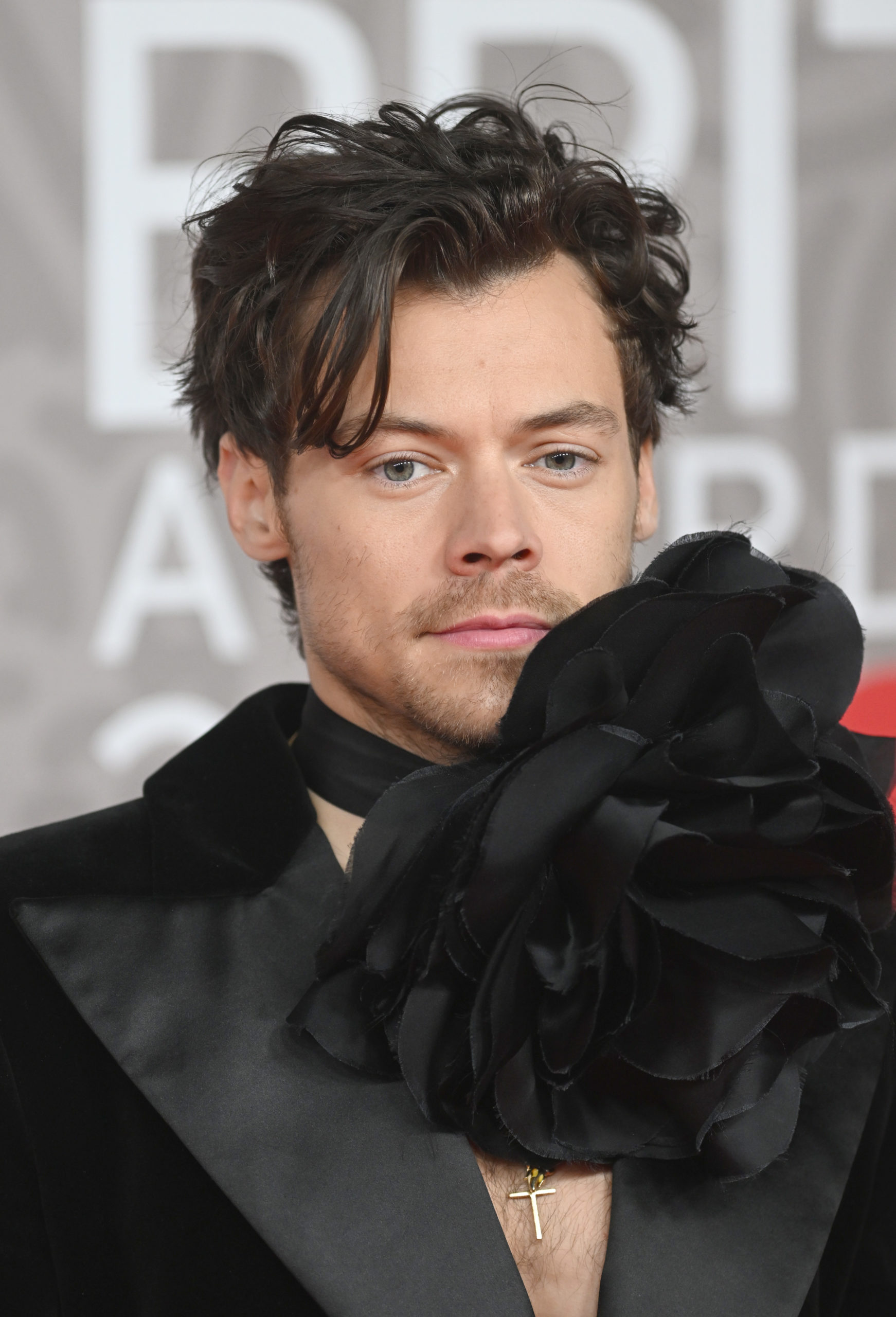 Harry Styles’s Fans Speculate About his Dyed Hair at the 2023 Brits