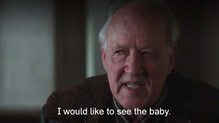 Werner Herzog's "I would like to see the baby" meme from The Mandalorian.