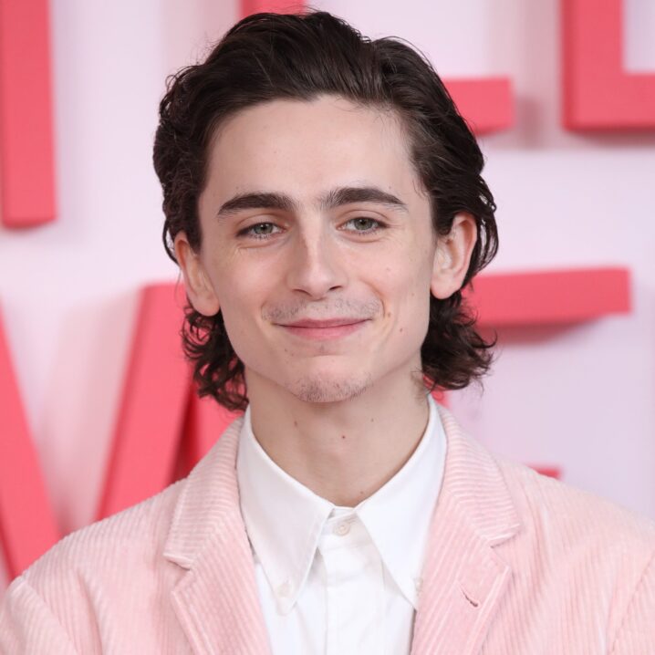 Yes, Timothée Chalamet Is Doing His Own Singing For His Bob Dylan ...