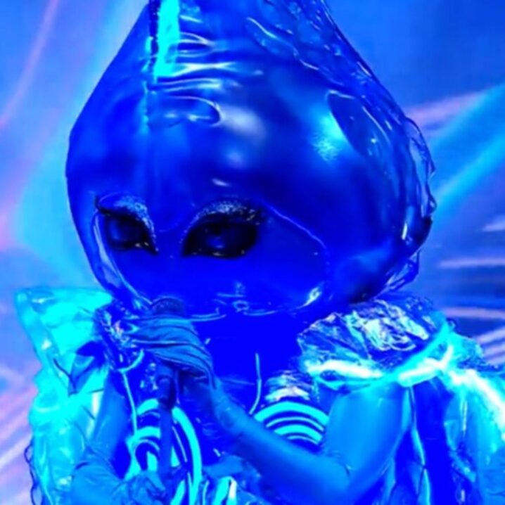 the masked singer bluebottle