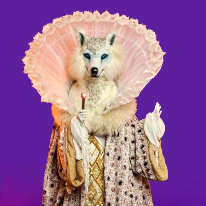 who is the masked singer fox